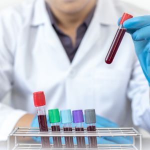 Full Body Profile Basic